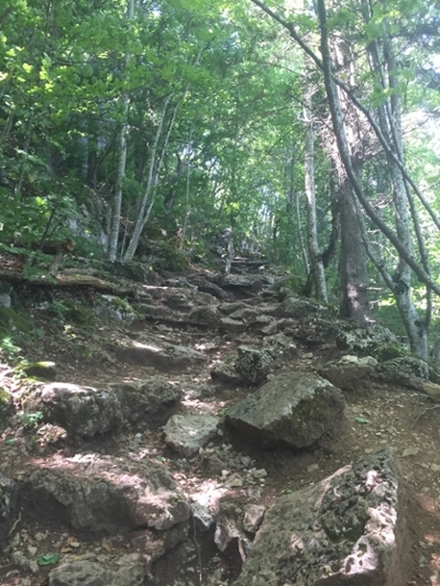 Trail 3